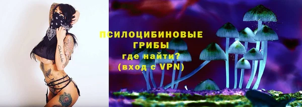 крисы Красноперекопск