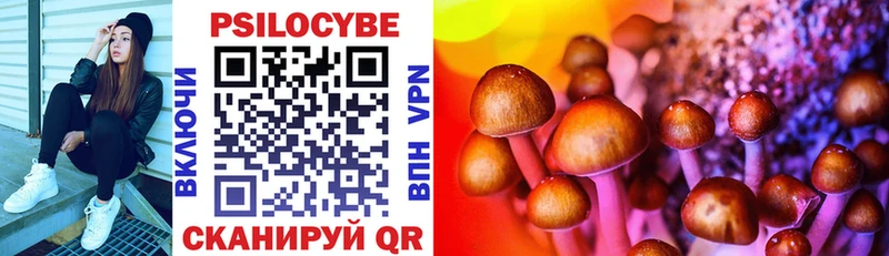 Купить где  Покровск  Галлюциногенные грибы Magic Shrooms 